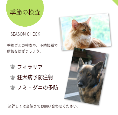 藤江動物クリニック