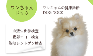 藤江動物クリニック