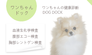 藤江動物クリニック