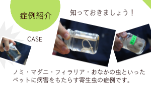 藤江動物クリニック