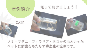 藤江動物クリニック
