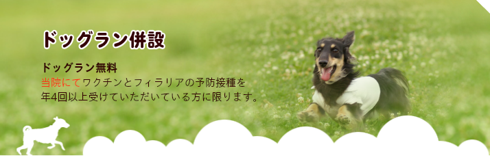 藤江動物クリニックのドッグラン